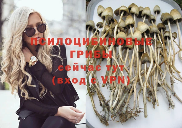 гашик Михайловка
