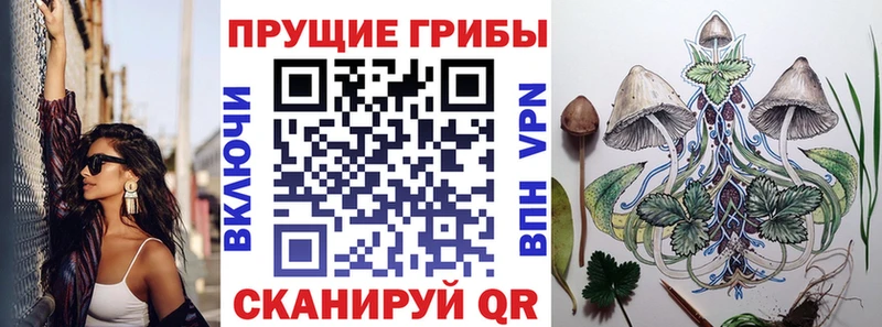 Псилоцибиновые грибы Psilocybine cubensis  ОМГ ОМГ ONION  Ухта 
