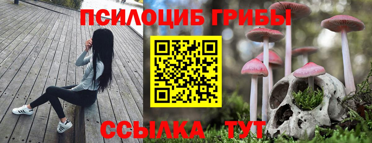 Псилоцибиновые грибы прущие грибы  магазин  наркотиков  Ухта  Вход с VPN 